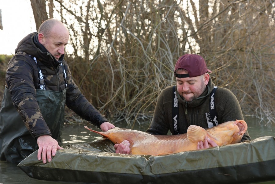 Tom and Gino