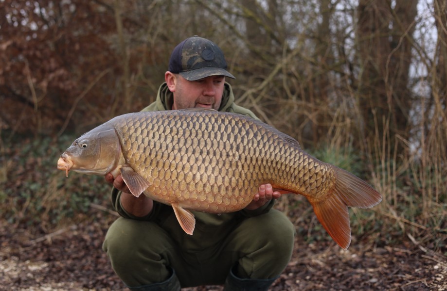 Roys Common