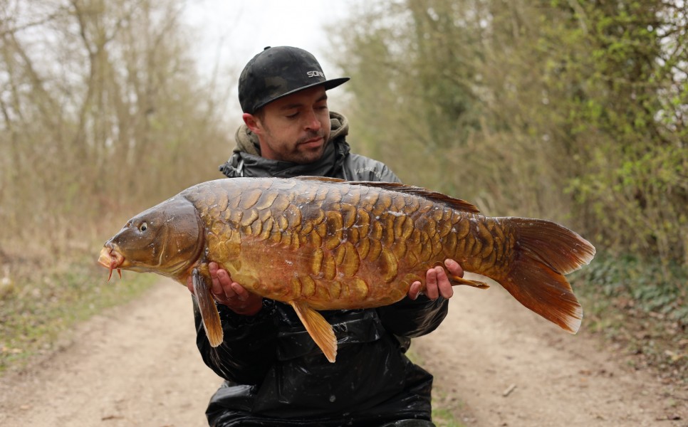 Aaron with Stinger
