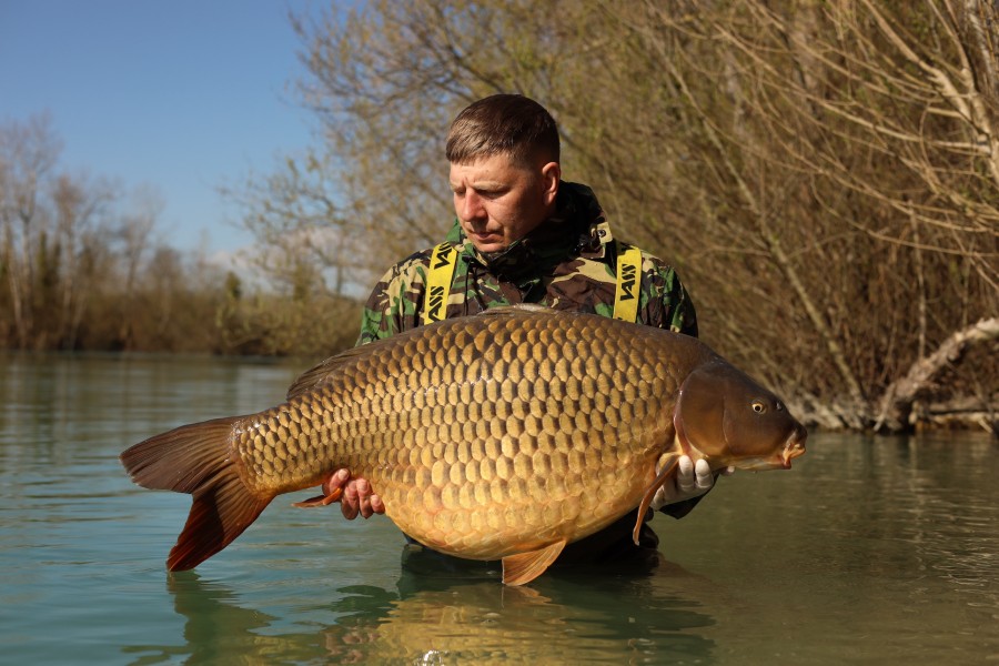 Aaron with Wood's Common