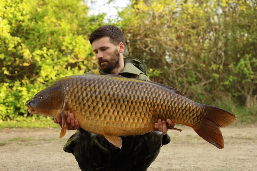 Zigs taking all the fish in Alcatraz, Wrap Around 44lb 8oz
