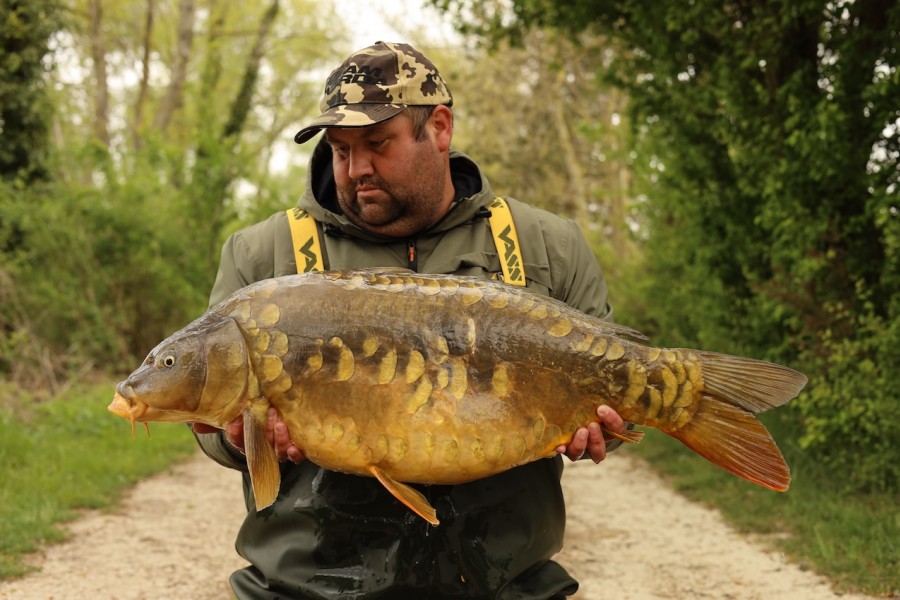 Apostrophe for Scott from Big Girls weighing 34lb