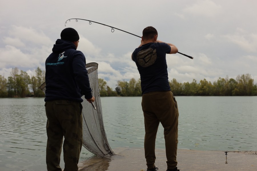 Team work in Co's