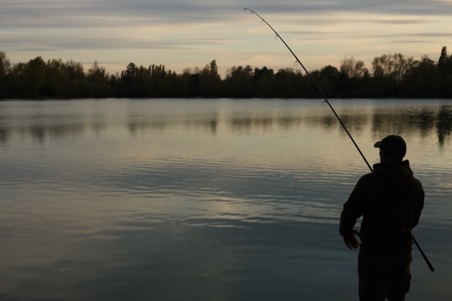 Evening action in The Stink