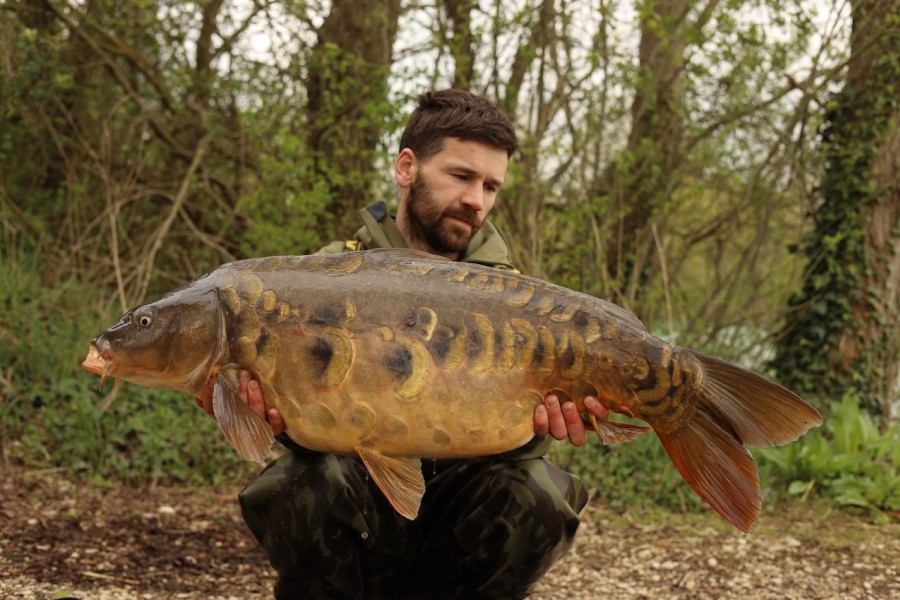 The amazing Aristotle from Alcatraz 40lb 8oz