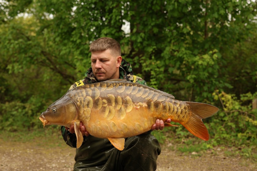Aaron with The Kobra