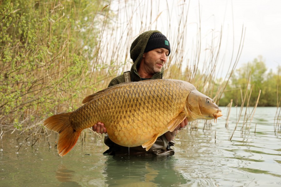 Marcel with Heart Tail Common