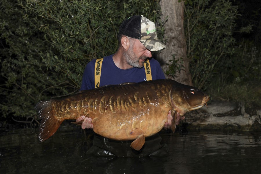 The Cheese 55lb 8oz