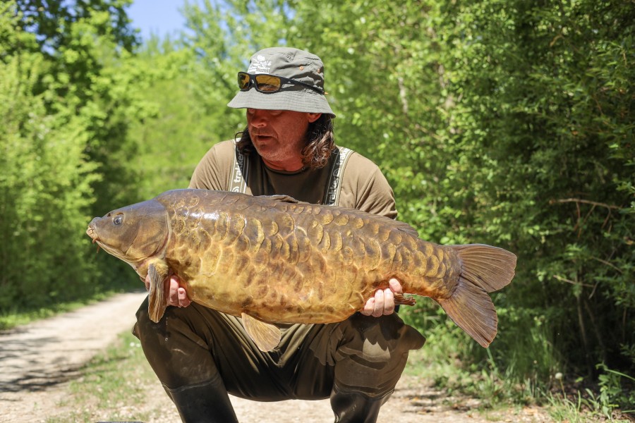 Lovely carp - Wood Carving 40lb 4oz from Baxter's
