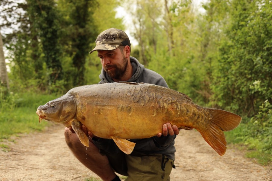 41lb of original scaly - Movie Star from Alamo
