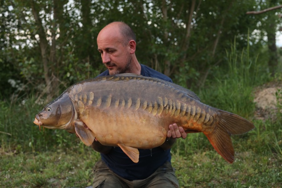 Drop Scale Lin, 39lb 6oz in Stock Pond
