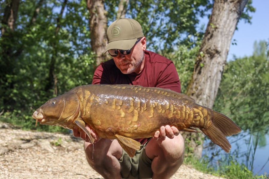 small and pretty, Folded Tail Scaly 25lb