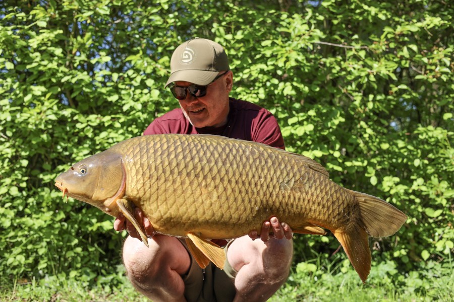 The Arrow, 36lb from Bob's Beach