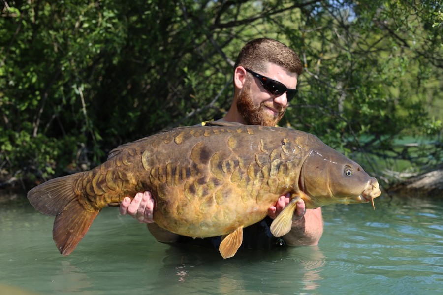Little Plated 40lb 8oz
