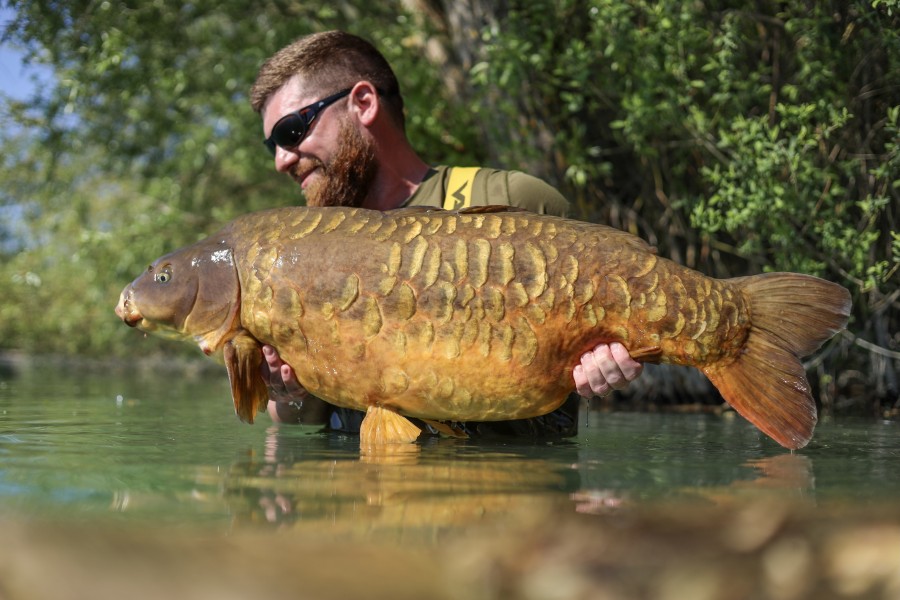 Epicano at 44lb from Co's
