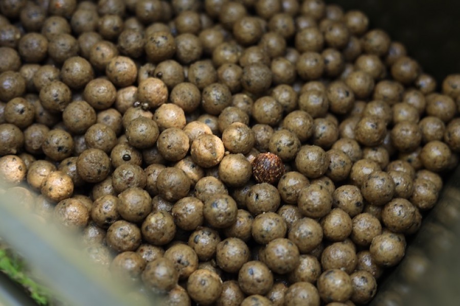 Bring boilies!