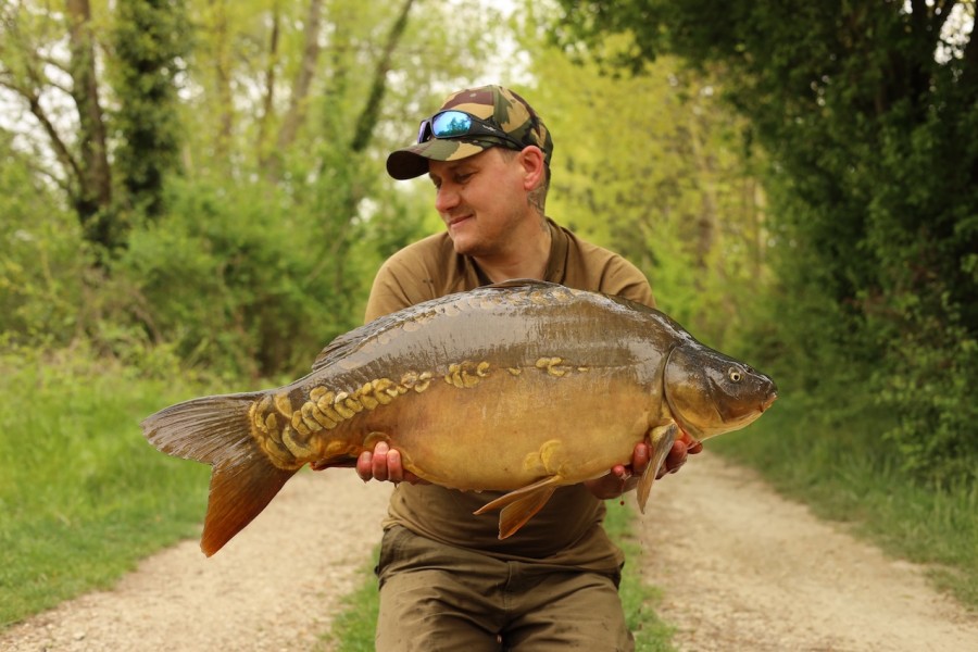 Milky Nuts 25lb 12oz