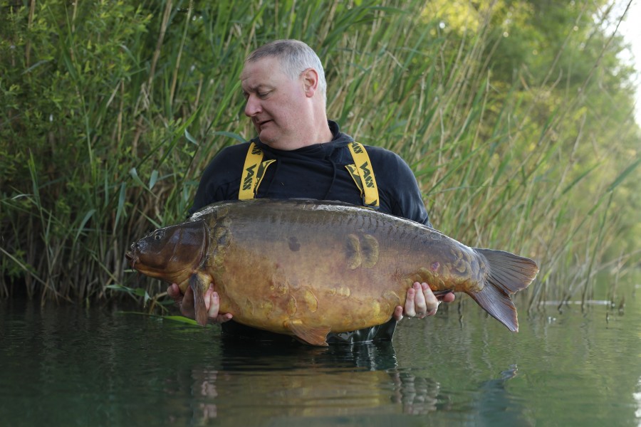 Two Scale 51lb