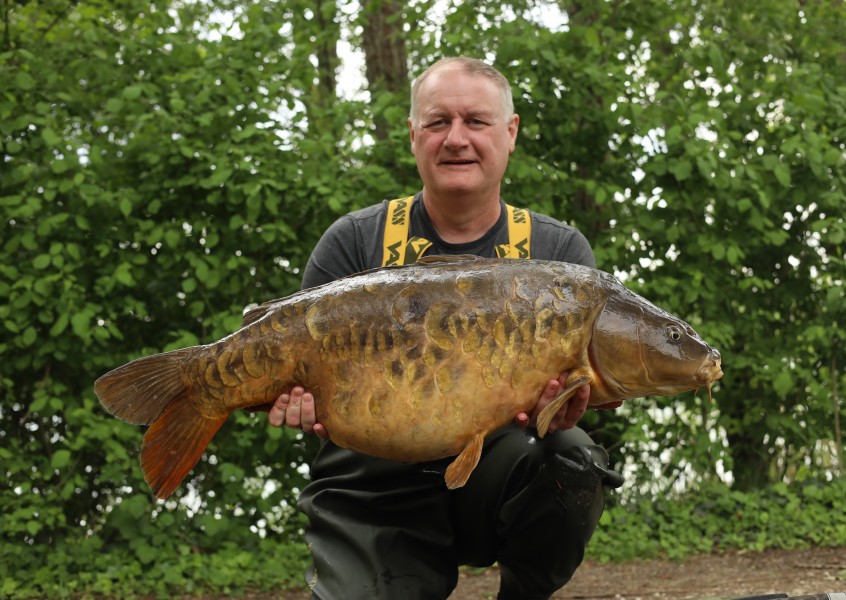 Little plated 40lb