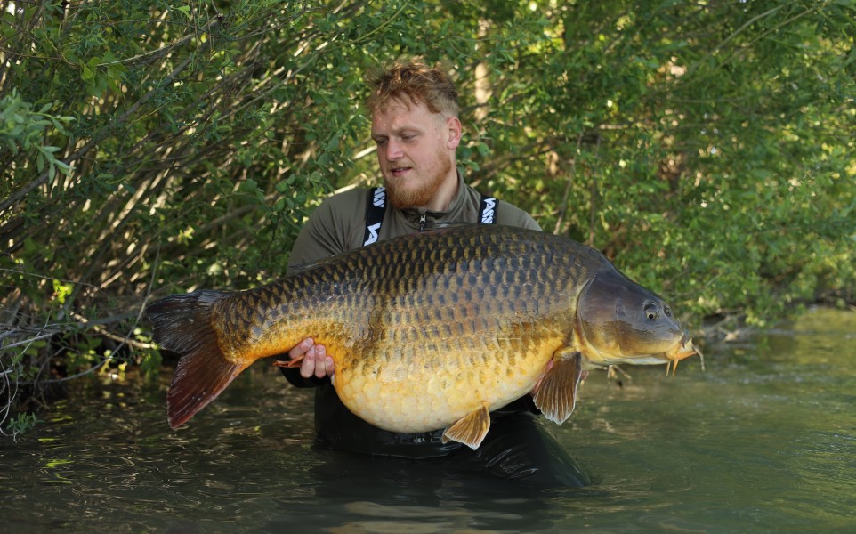 Lewis with The Koi