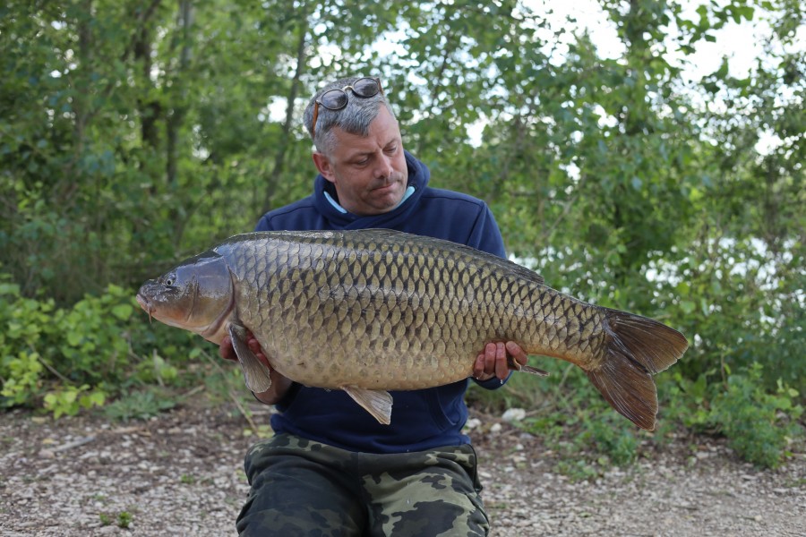 Brett with Cookies Common