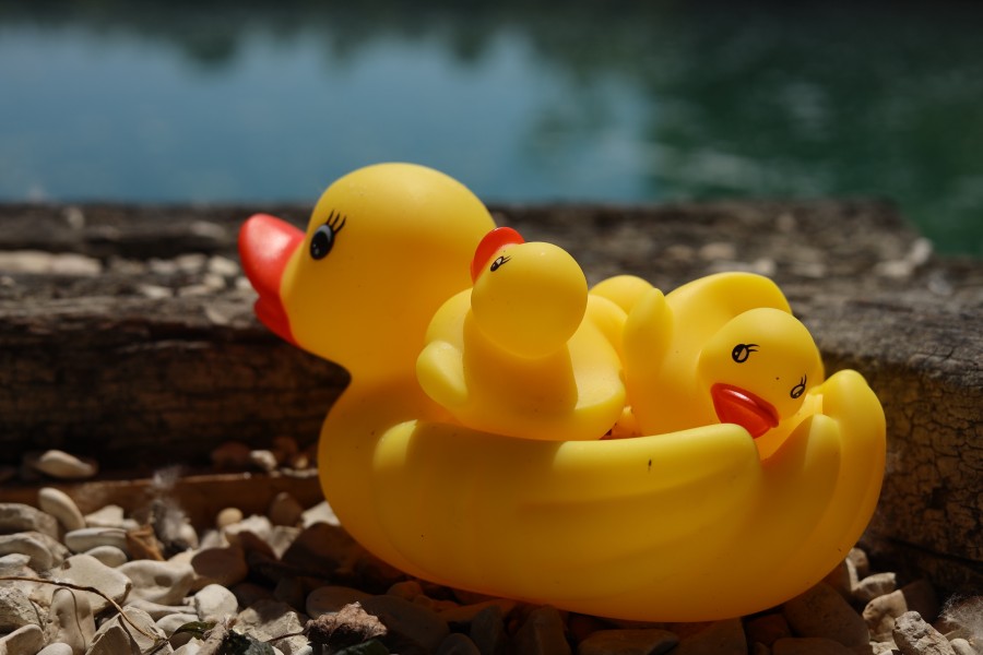 Duck Killer