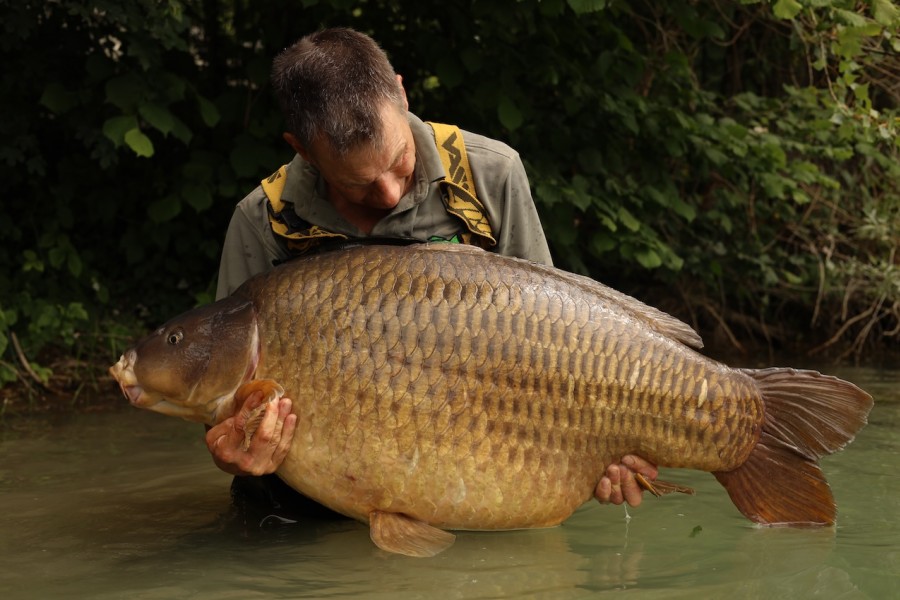 Lippy Common for Jon in Scotties, 71lb 4oz