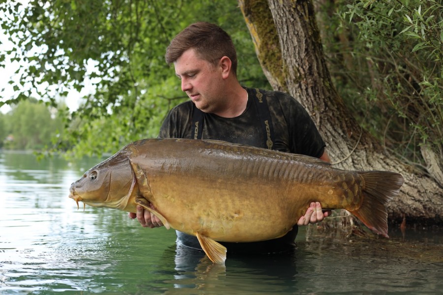 Slate Grey from its favourite area in Tree Line for Greg, 56lb