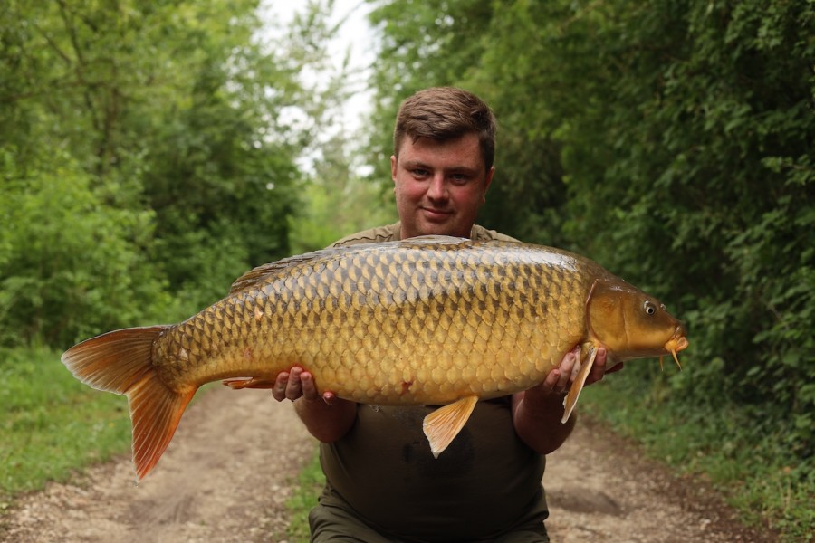 Cornification, 39lb 8oz from Tree Line