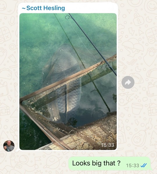 What we all got on this week's WhatsApp
