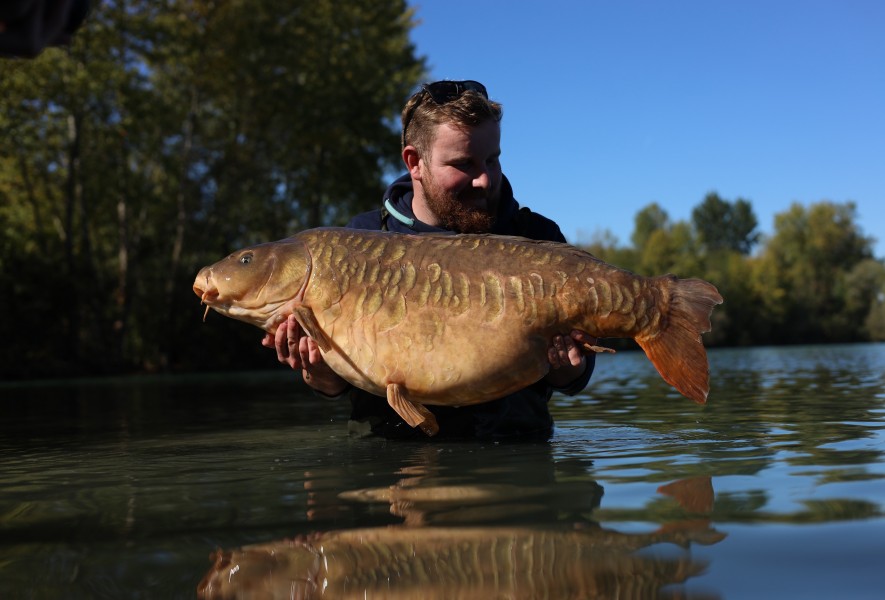 Lewis with the Cheese - 51lb 12oz