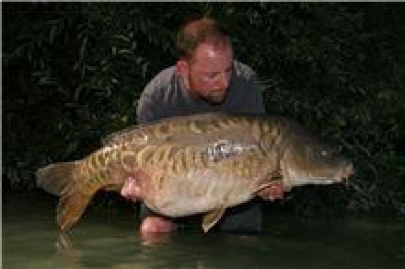 just look at this fish, amazing. 46+