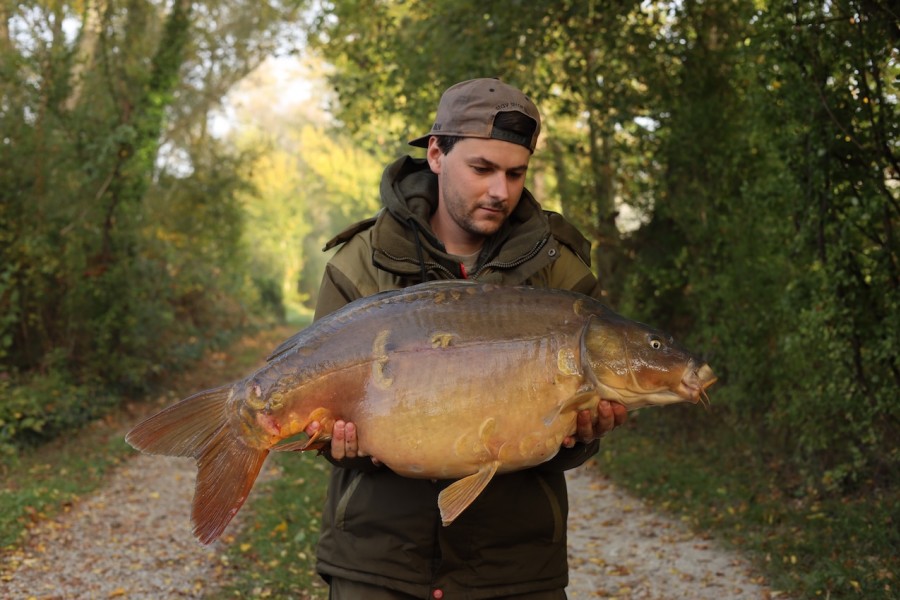 Big O's from Big Girls, 36lb 8oz