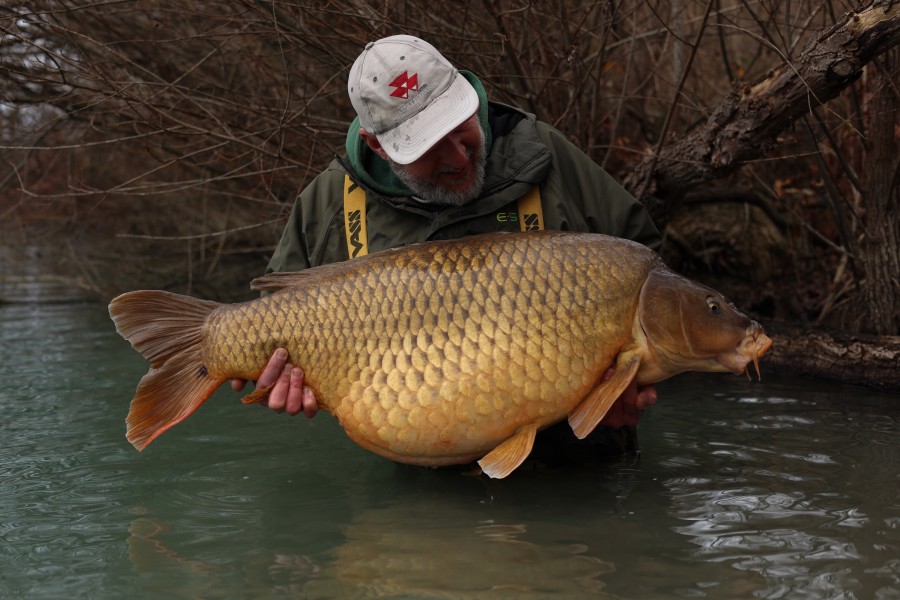 The Heart Tail Common 54lb