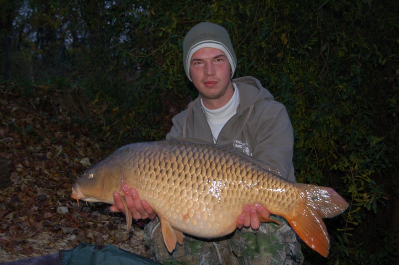 Jeroen, 26lb beautiful common