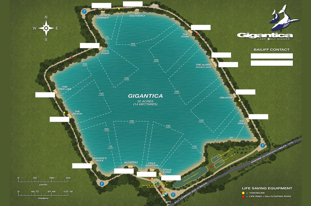 Gigantica Swims