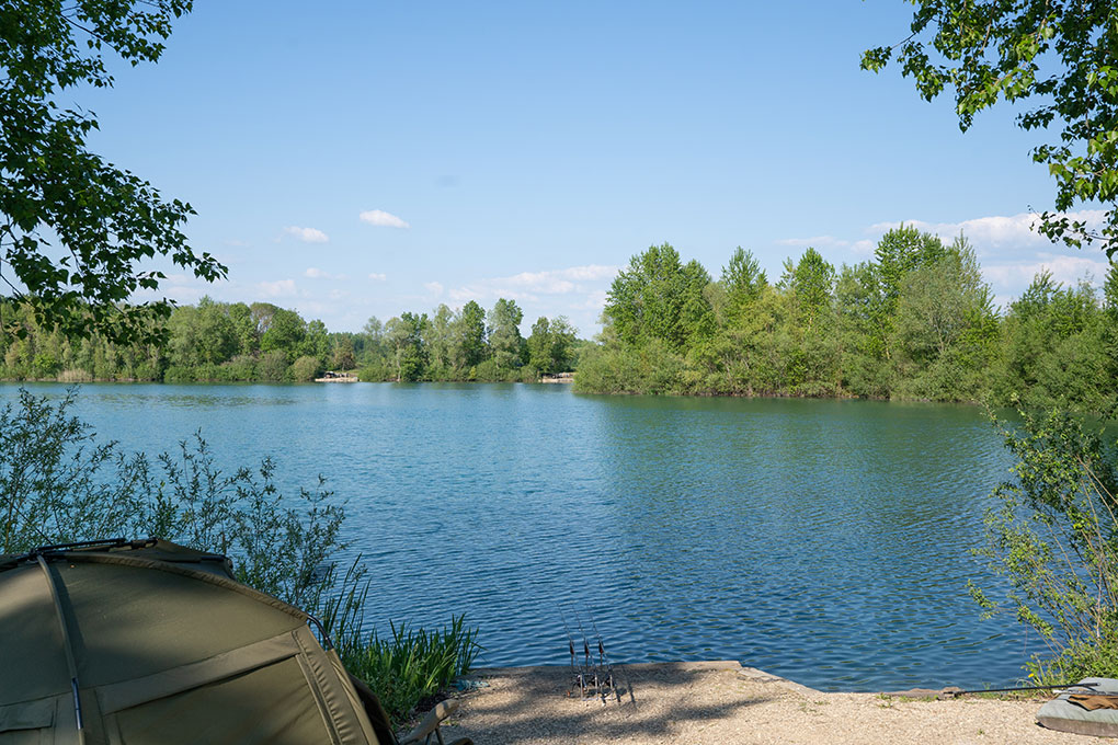 Stock Pond